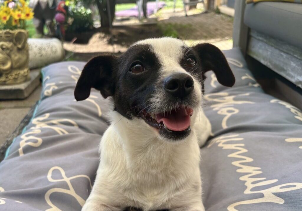Kiki